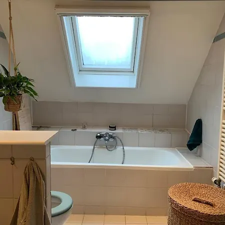 Spacious With Garden Leiden