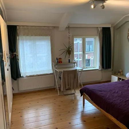 Spacious With Garden * Leiden