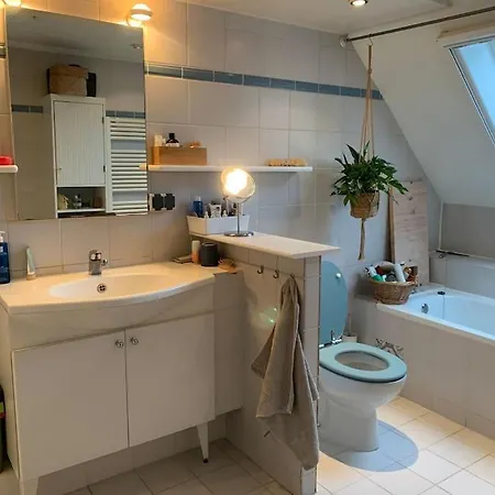 Spacious With Garden